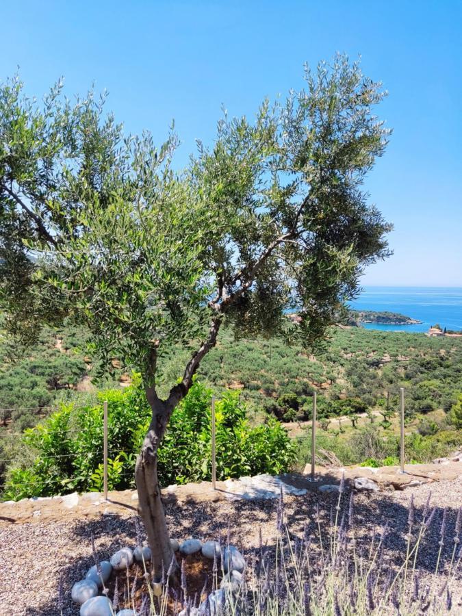 Athina'S Stone House In Kardamyli Villa Exterior foto