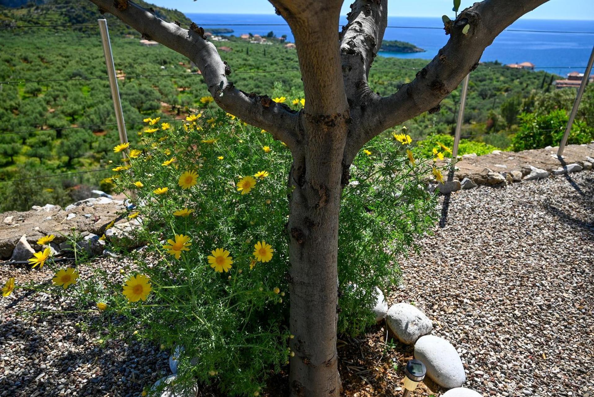 Athina'S Stone House In Kardamyli Villa Exterior foto