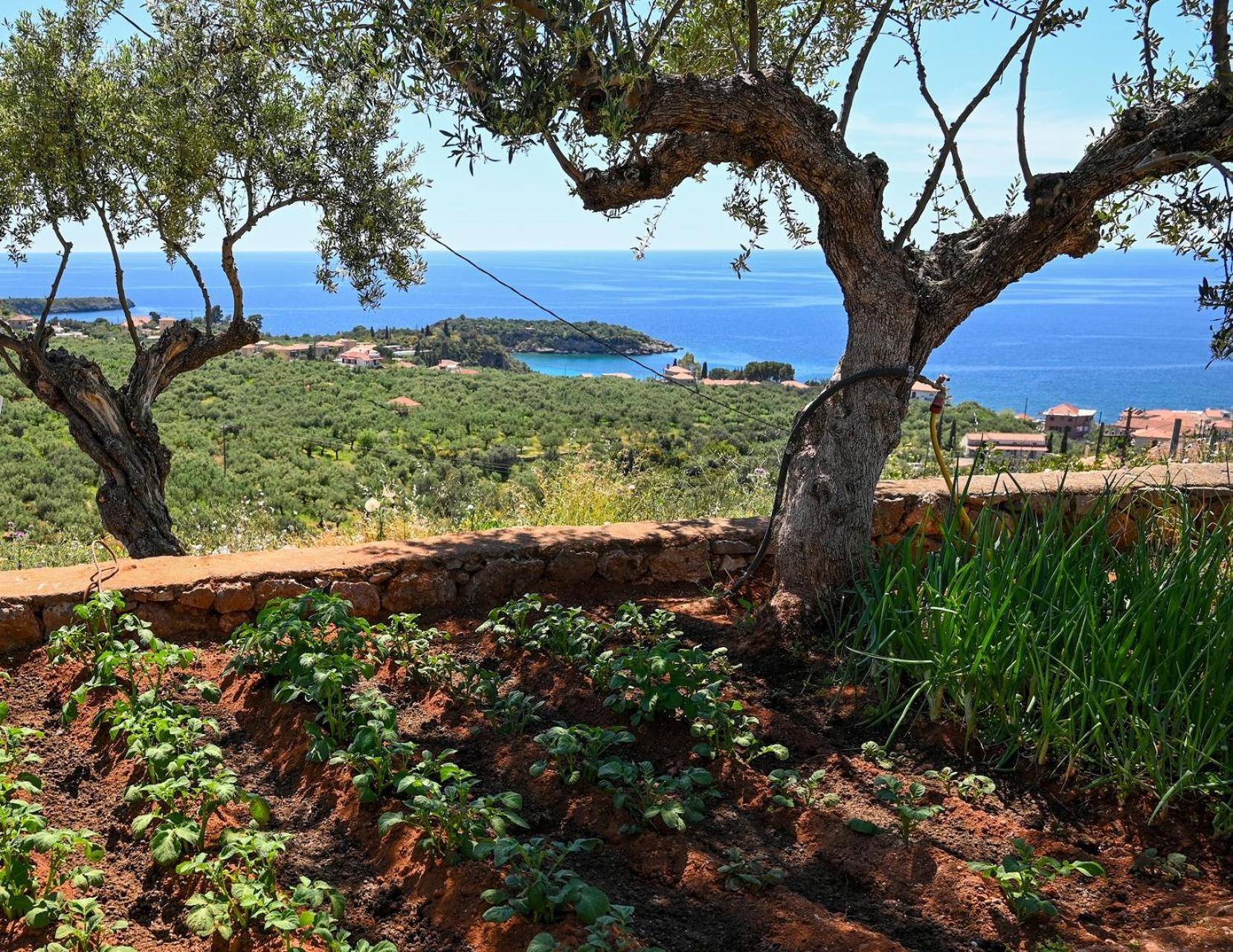 Athina'S Stone House In Kardamyli Villa Exterior foto