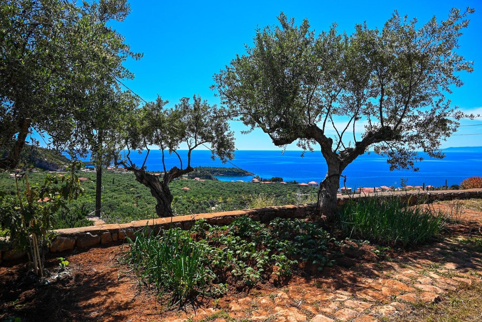 Athina'S Stone House In Kardamyli Villa Exterior foto