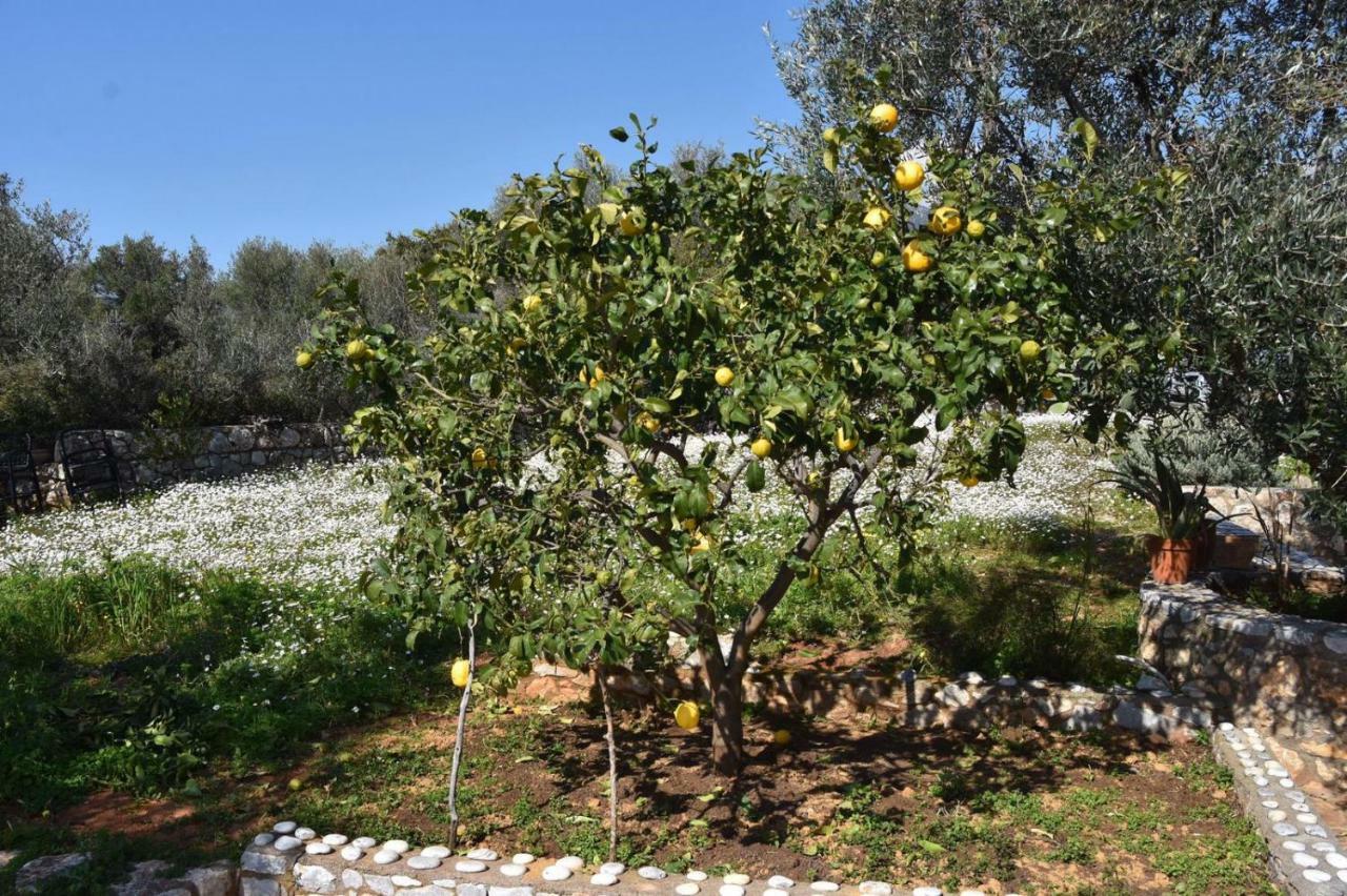 Athina'S Stone House In Kardamyli Villa Exterior foto